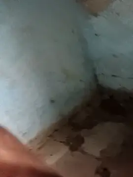 Sheema tyagi online show from 11.11.25