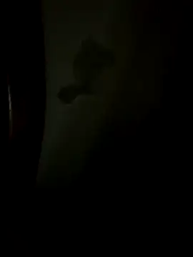 Bruno18cmmmmkk online show from 12.19.25