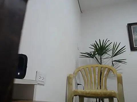 Young handsome online show from 09.11.25