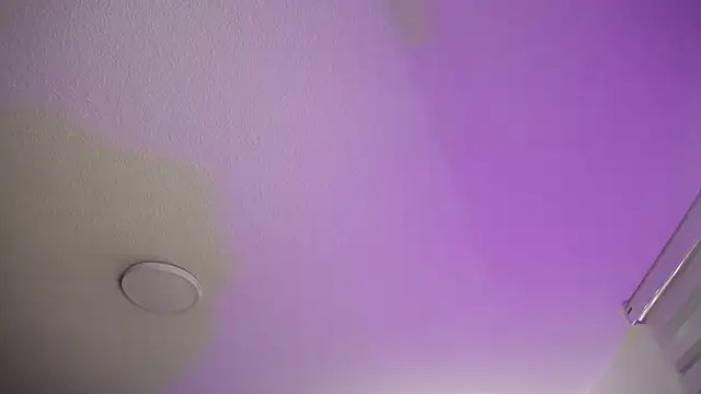  Charlotte Collins  online show from 11.22.25