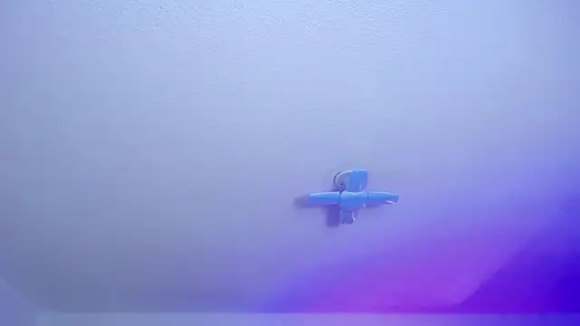  Charlotte Collins  online show from 03.06.26