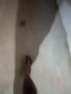 sexy  girls98 online show from 11.27.25