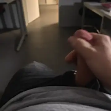 stunning stallion online show from 11.24.25