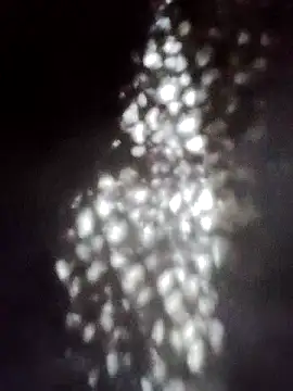 Perropa online show from 01.18.26