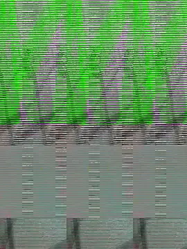 Payal950 online show from 10.22.25