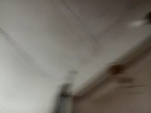 isabella brown1 online show from 03.19.26