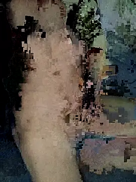 xxxxxcgbn online show from 02.05.26