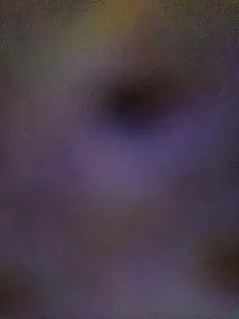 Snapshot of sadhna200 chatting on 10.05.25 sadhna200 online show from 10.05.25