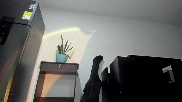 alice coopperx online show from 03.05.26