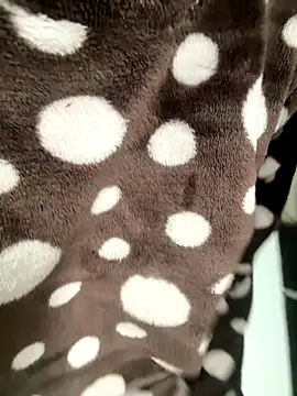 HeerStd online show from 11.17.25