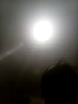 Bebicho14 online show from 11.13.25