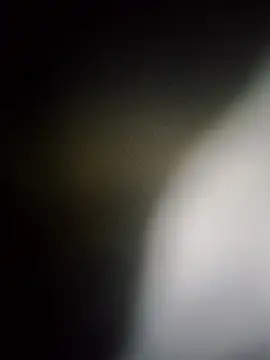 Rk3BULL online show from 03.26.26