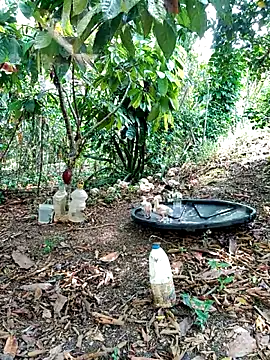 AlphaAlterX online show from 03.02.26