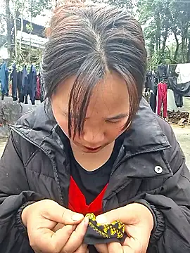 ALIENHR38 online show from 01.10.26