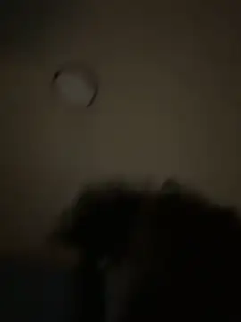 Snapshot of bunbun420247 chatting on 12.05.25 bunbun420247 online show from 12.05.25