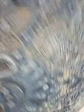 HAANNIAA online show from 12.02.25