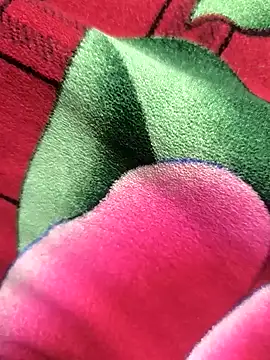 Snapshot of Family02 chatting on 11.26.25 Family02 online show from 11.26.25