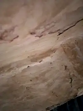 Sexy hot66 online show from 09.16.25