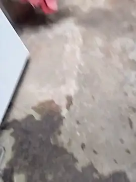 sertaonegro online show from 03.04.26