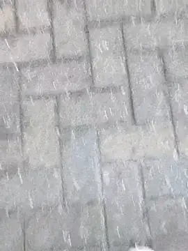 boxerundsocken91 online show from 03.09.26