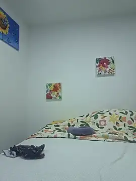 Snapshot of nohak_model chatting on 11.21.25 nohak model online show from 11.21.25