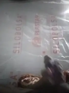 Kaygsy online show from 12.17.25