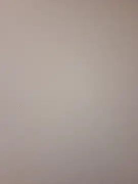 Mr nightfall online show from 11.13.25