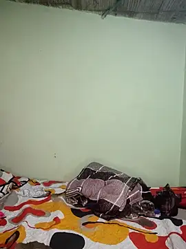 Cat Hot Party online show from 12.20.25