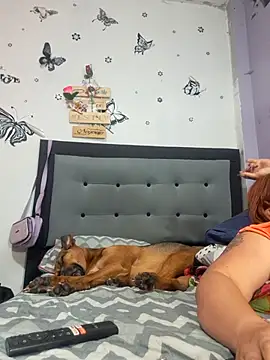 anythompsom online show from 11.11.25