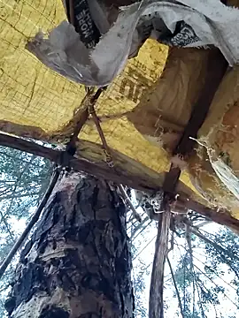 Snapshot of Janvi_Jaitly chatting on 11.23.25 Janvi Jaitly online show from 11.23.25