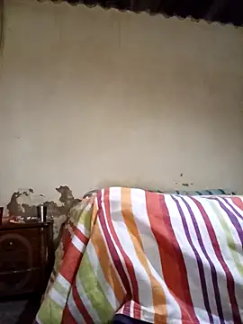 Snapshot of average_price chatting on 11.12.25 average price online show from 11.12.25