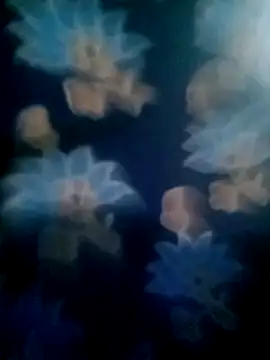 your favourite bhabhi online show from 11.02.25