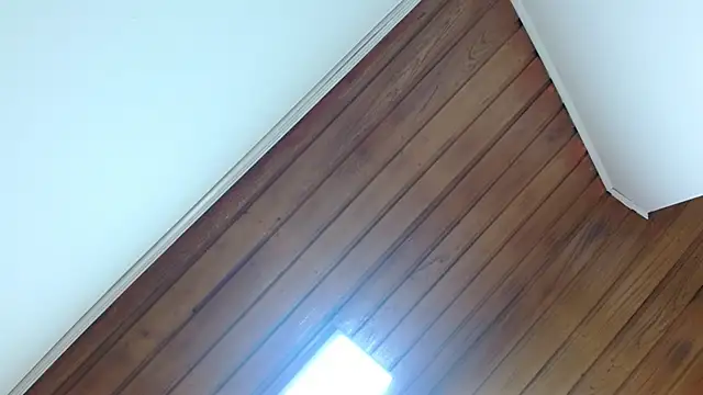 amara rousse1 online show from 11.27.25