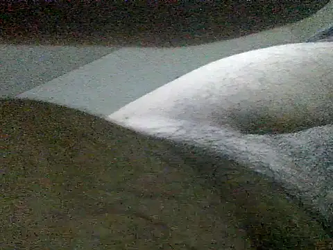 LuispingonX69 online show from 05.25.26
