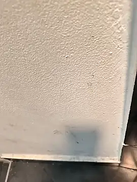 Snapshot of penchis90 chatting on 12.14.25 penchis90 online show from 12.14.25