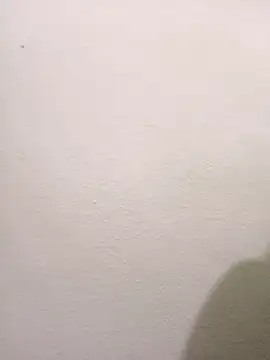 Telugu hot cpl online show from 11.29.25