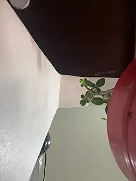 XBODTRIIPX online show from 03.21.26