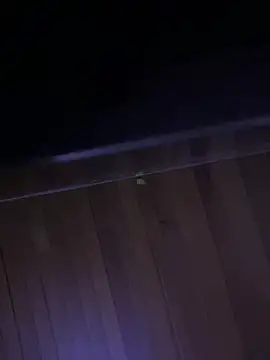 XBODTRIIPX online show from 04.07.26