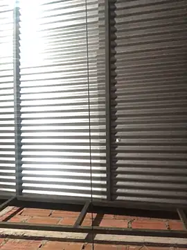 Snapshot of elpeluchenegroxxx3 chatting on 02.13.26 elpeluchenegroxxx3 online show from 02.13.26