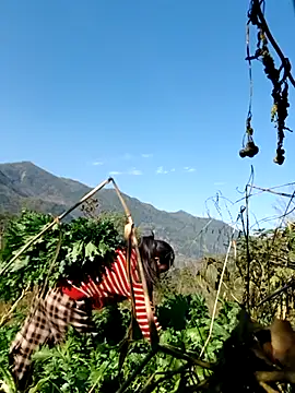 kemtuoi-sex online show from 02.05.26