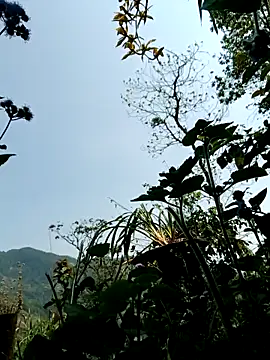 kemtuoi-sex online show from 04.08.26