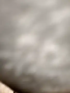 Chanderi19 online show from 11.24.25