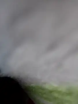 Chanderi19 online show from 04.02.26