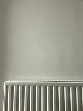 Snapshot of dlasian2026 chatting on 10.31.25 dlasian2026 online show from 10.31.25