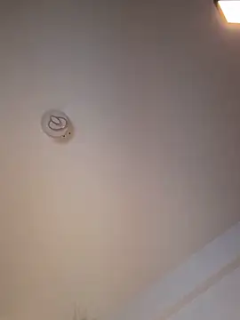 Snapshot of Andrestarr chatting on 03.11.26 Andrestarr online show from 03.11.26