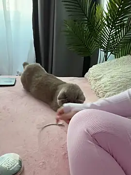 Snapshot of Andrestarr chatting on 03.14.26 Andrestarr online show from 03.14.26