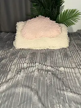 Snapshot of Andrestarr chatting on 04.08.26 Andrestarr online show from 04.08.26