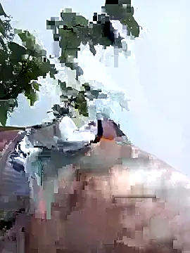 bonnie-00 online show from 05.06.26