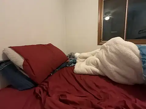 Snapshot of Adam_Phoenix chatting on 02.02.26 Adam Phoenix online show from 02.02.26