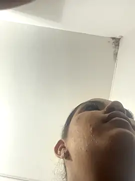 SienaWild online show from 11.26.25